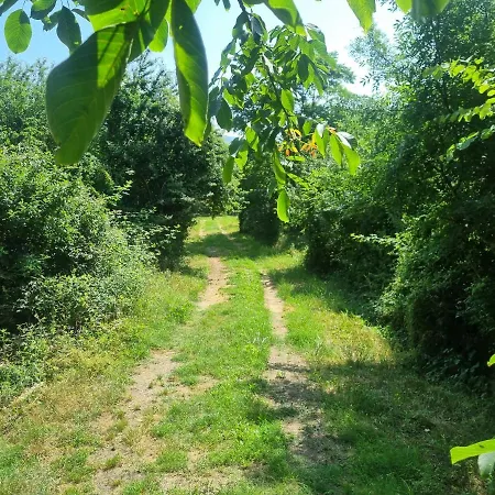 Grand Mas Provencal Avec Jacuzzi Ferienhaus Sisteron