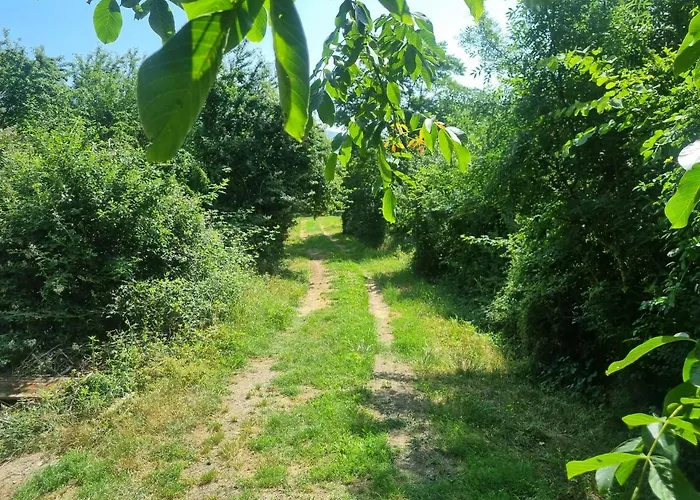 Grand Mas Provencal Avec Jacuzzi Holiday home Sisteron